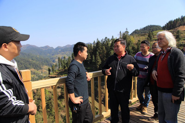 刘昌刚到保靖县葫芦镇国茶村调研茶叶产业